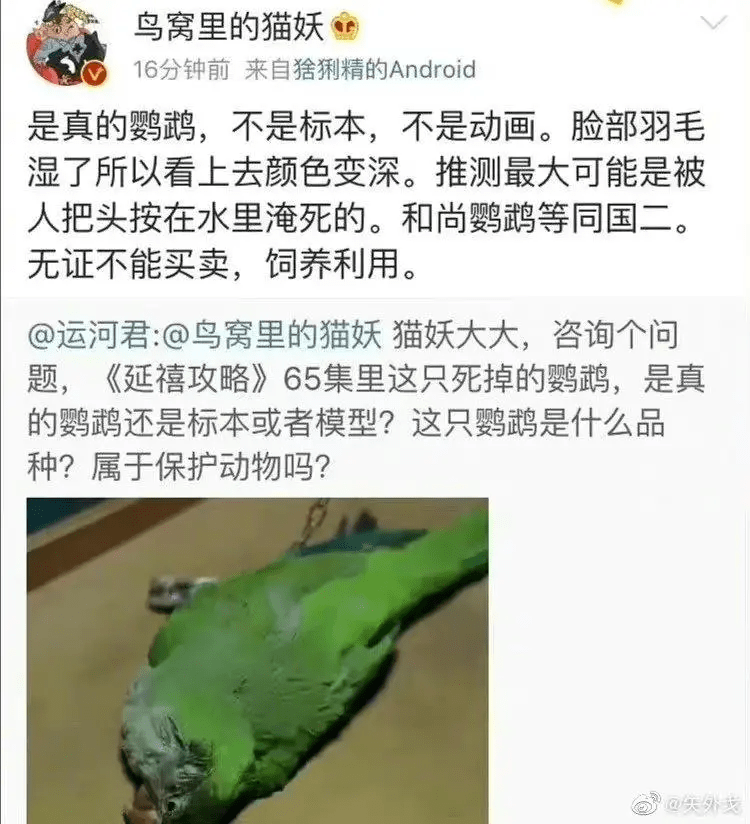 别再把动物演员当道具了_电影_奥斯卡_军犬