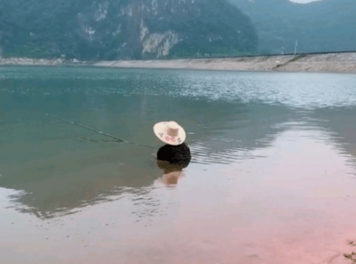 球拍|乒乓球臺(tái)才是男人最輸不起的地方