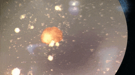 机器人可以自己“生孩子”了？它算是生物体吗？