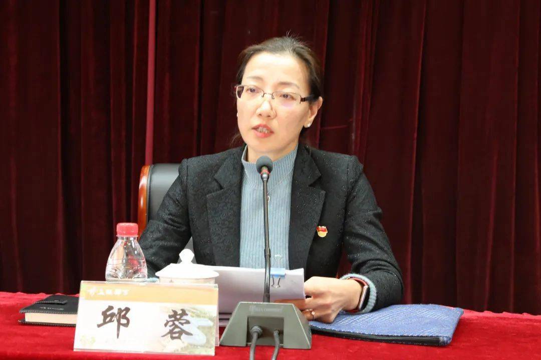 镇党委副书记,党史学习教育领导小组常务副组长邱蓉主持本次会议,并