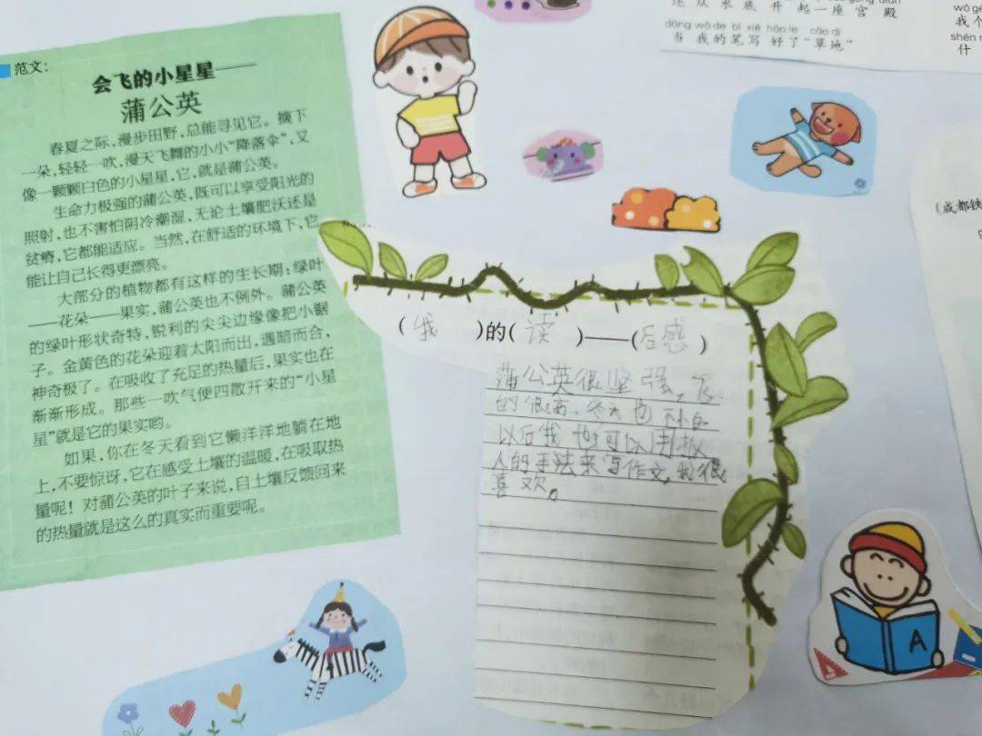 小学剪报的图片及作品图片