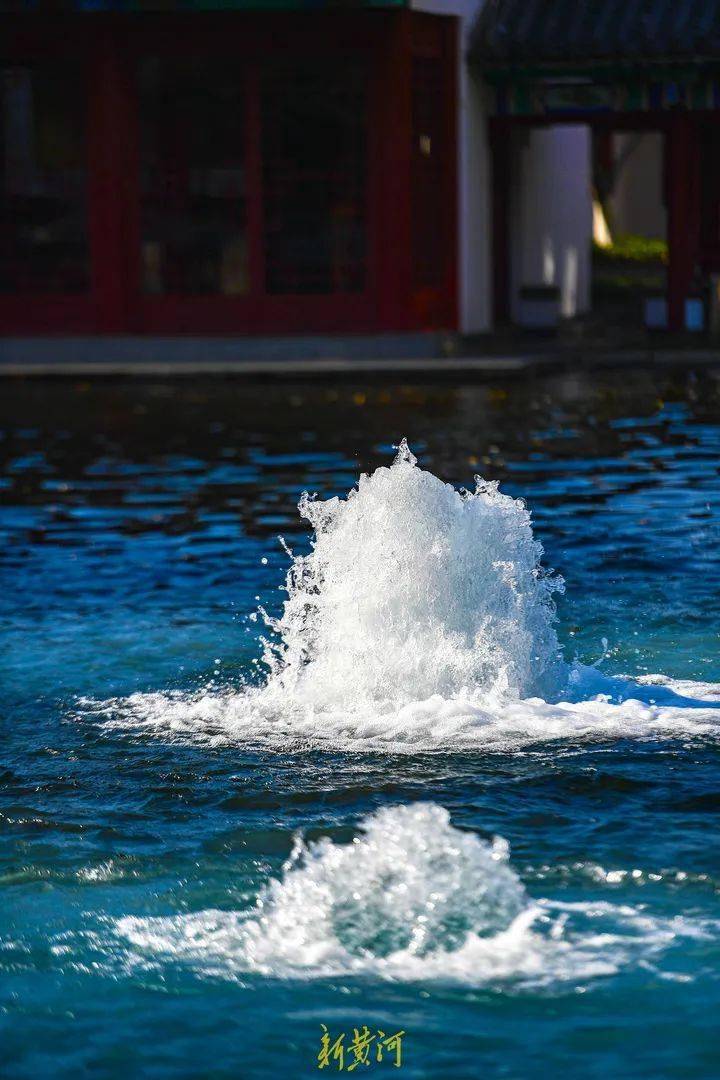 百脉沸腾章丘泉水爆发式喷涌令人震撼