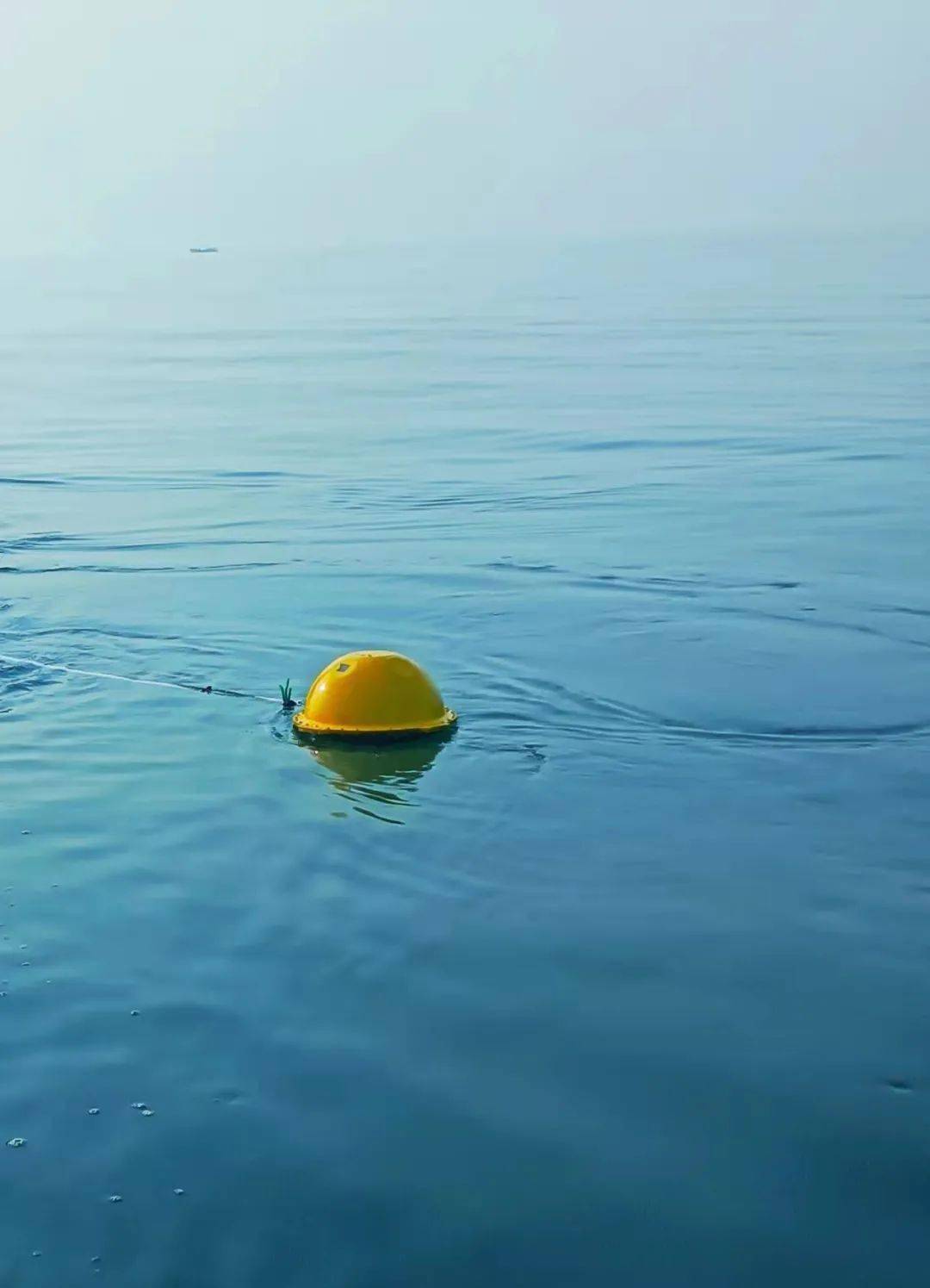 10 x 木质波浪珠手鼓打击乐波浪海洋声音鼓 9.96英寸, image size:1080x1495