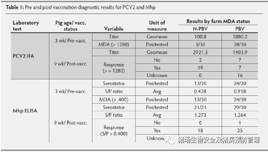 表1:pcv2和mhp疫苗免疫前后的检测结果此外,通过测量猪肺炎支原体(mhp