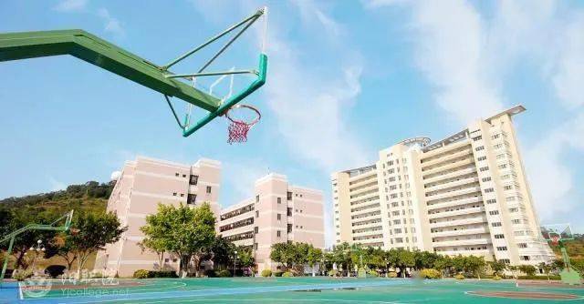 广东这地第二所本科大学要来了?_阳江_国家教育部_院校