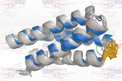 AI能“构想”新蛋白质结构