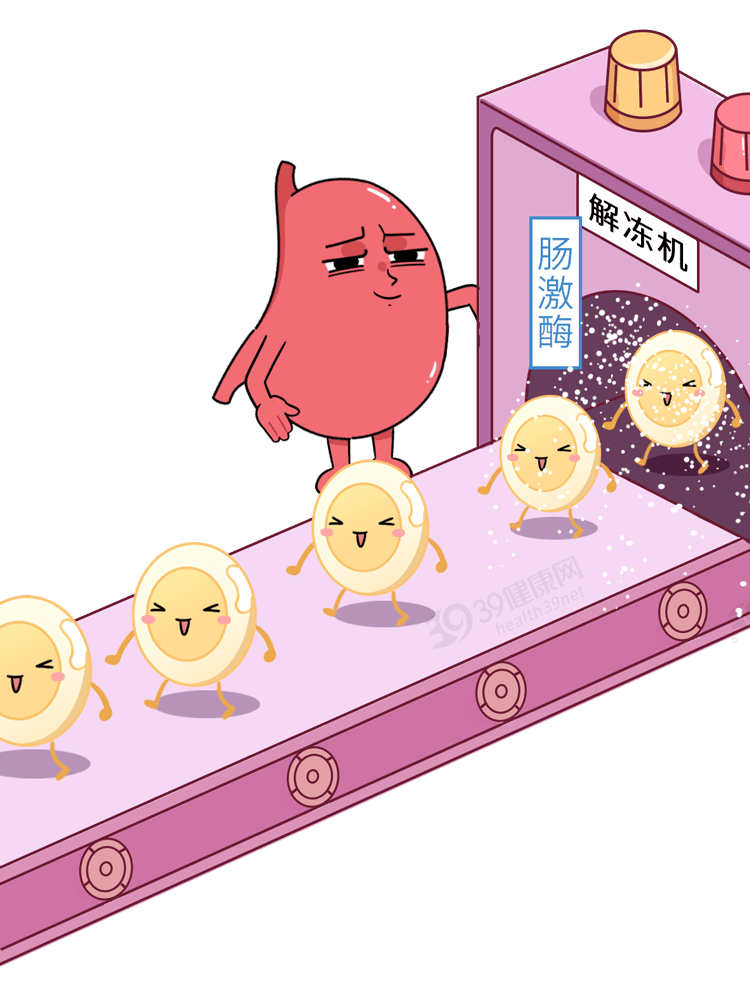 只有进入小肠后 与肠壁黏膜分泌的肠激酶发生反应 胰腺酶才会被激活