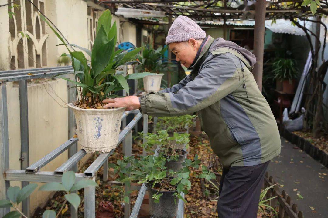 社区家里有“热带雨林”、出门是“睦邻花园”，美！