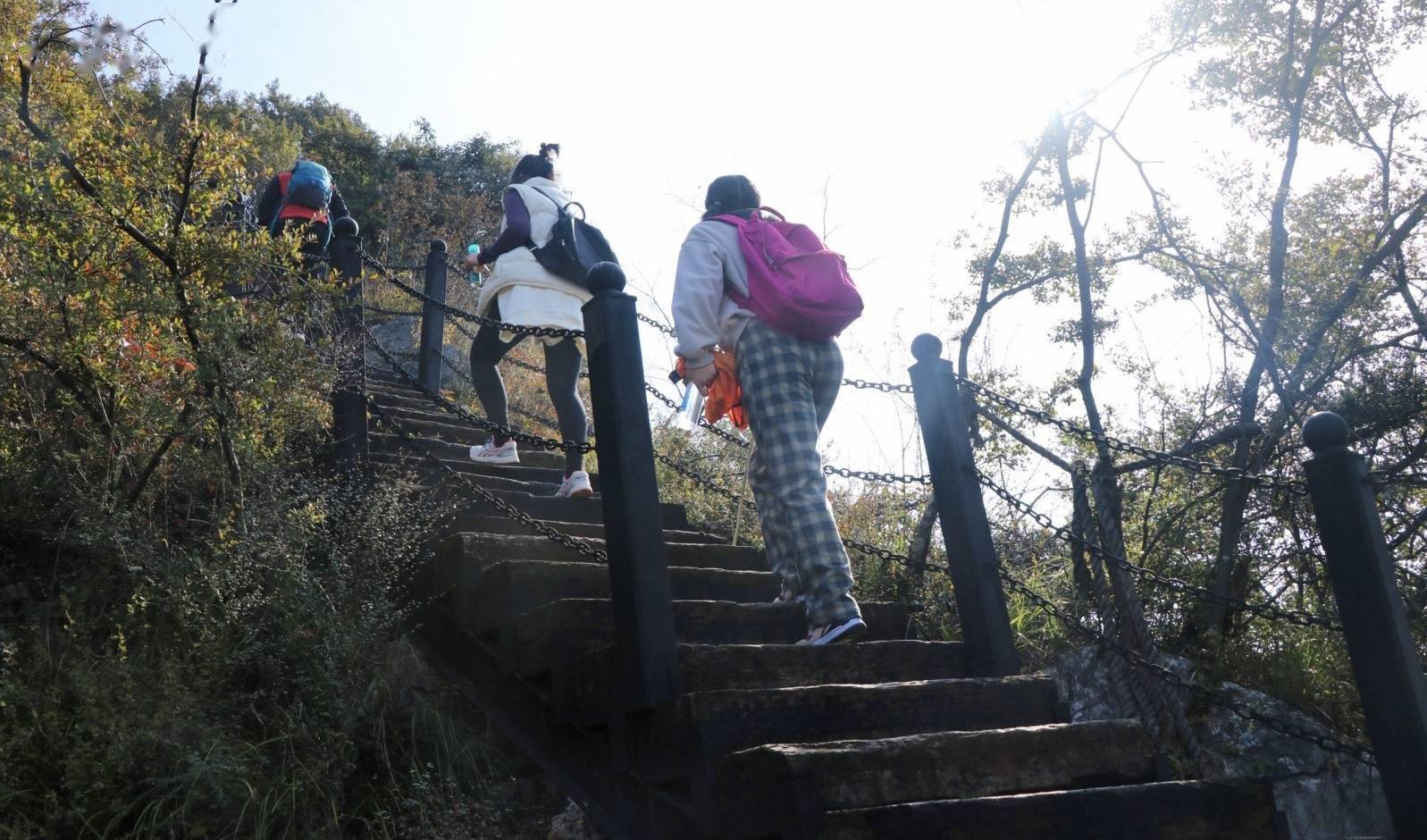 步道|满山红叶映夔门 200健儿沿“最美步道”登三峡之巅