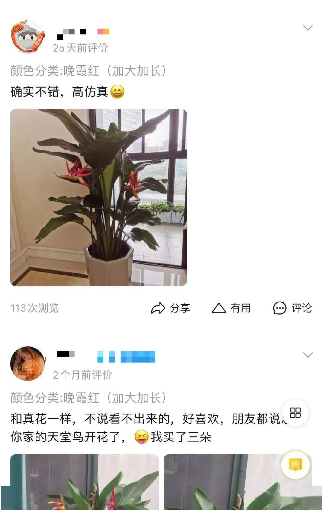 网友|定闹钟浇水！女子养了半年的花，发现竟是塑料的……