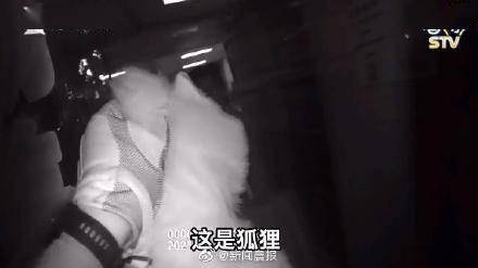 唏嘘！上海一女子搬家后将宠物白狐遗弃 饲养宠物请三思而行！