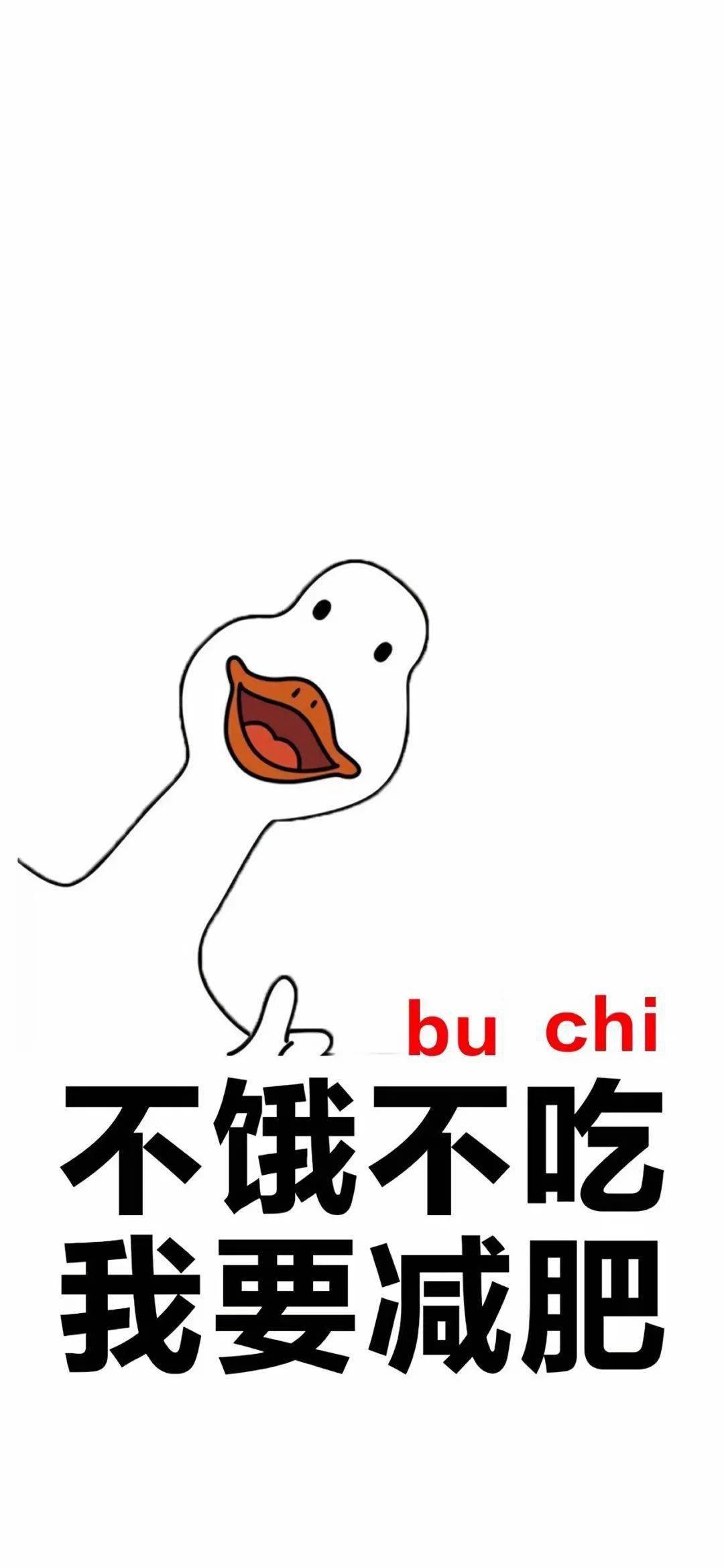 12月手机壁纸来了 总有你 不兜 !