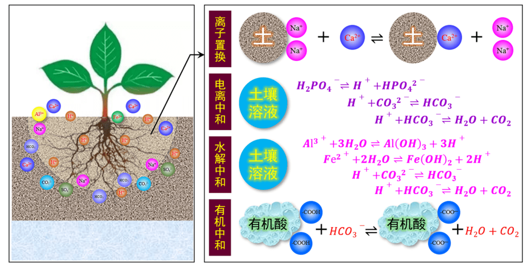 图3盐渍土化学调理原理示意图图4盐渍土灌排管理主要原理示意图图5