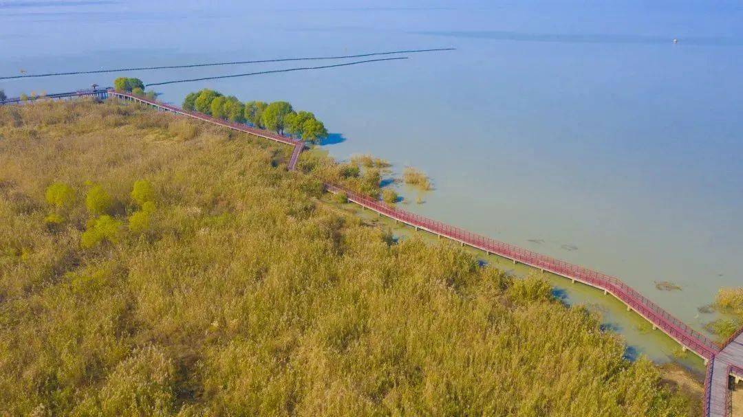 在希望的田野上系列报道107巢湖又添一处打卡地一一柘皋河湿地公园