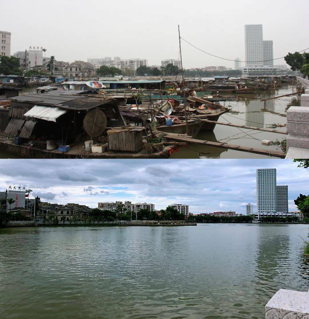 白鹭_对比_广州