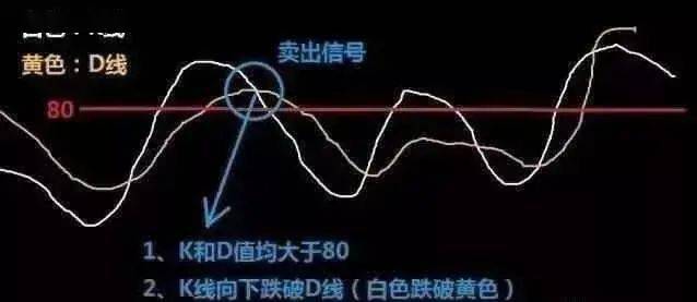 d742b0d4c95547068bfd0a411da80b7c.jpeg