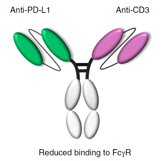 治疗|《自然》子刊：千里姻缘“双抗”牵，DC细胞让T细胞“嗨翻天”！