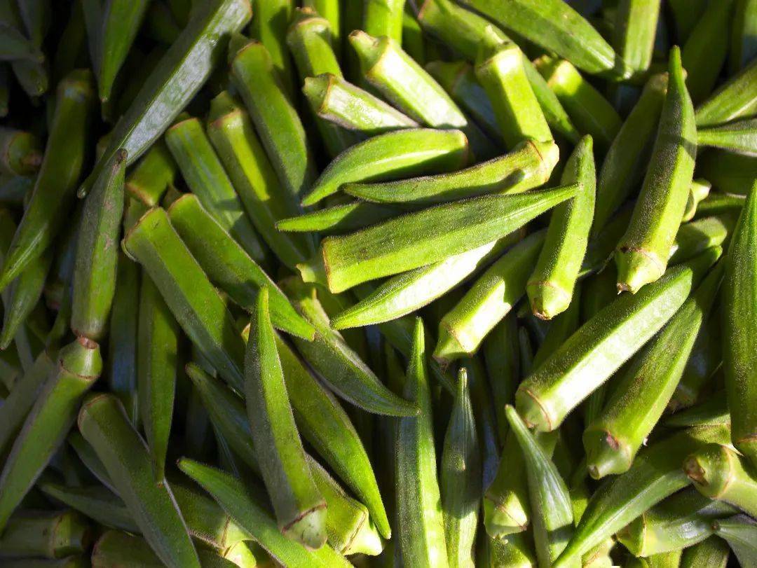 张骞_农作物_胡豆