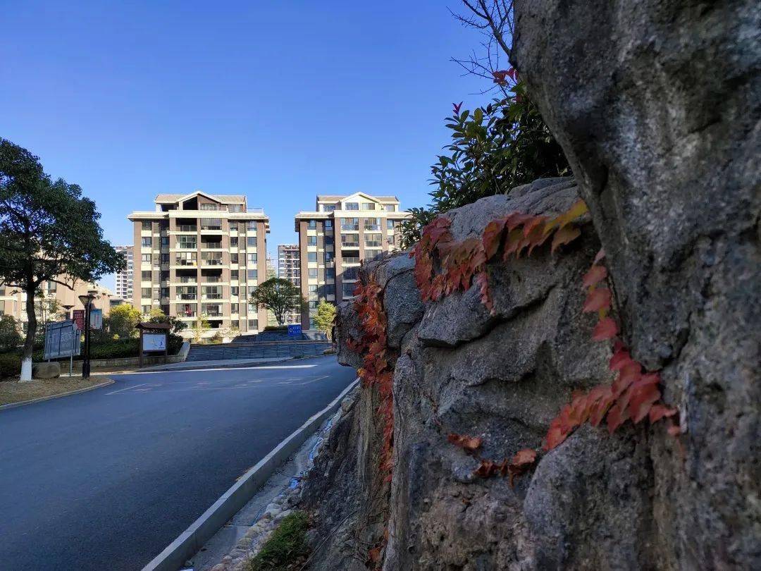 岳西县紫薇山庄图片