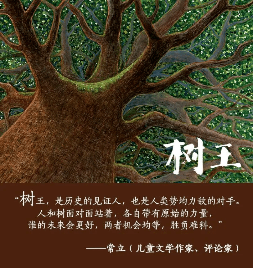好书树王人与树生与灭方寸之间气象万千