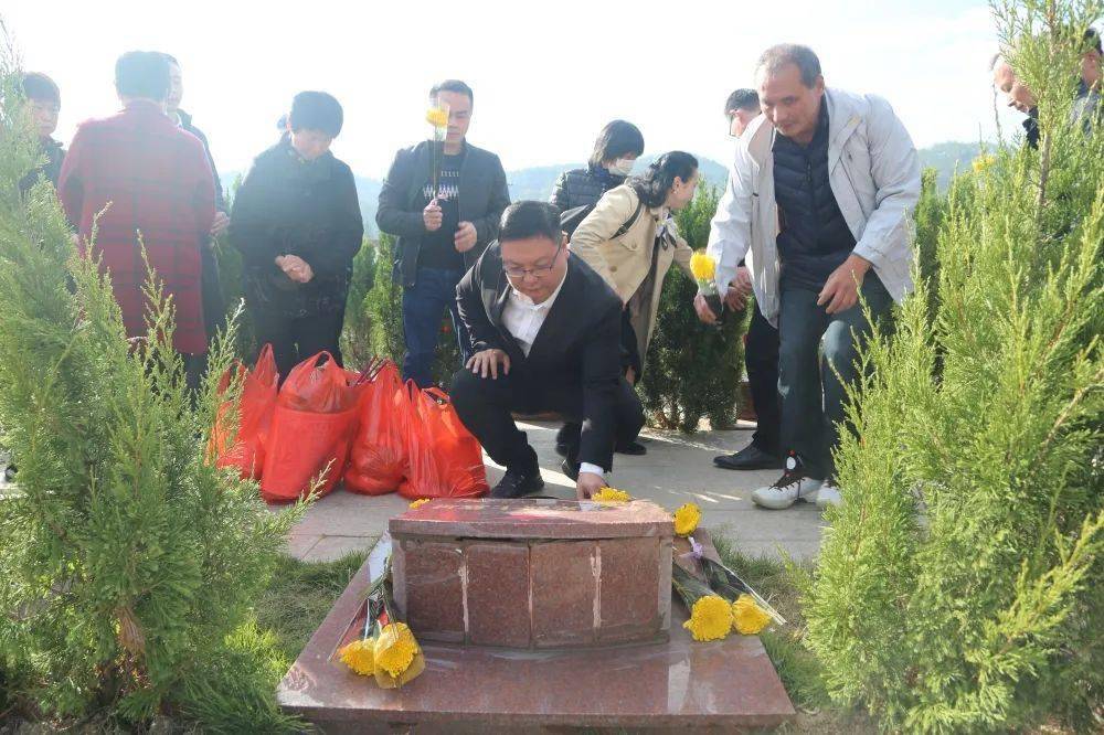 台湾龙岩墓园图片