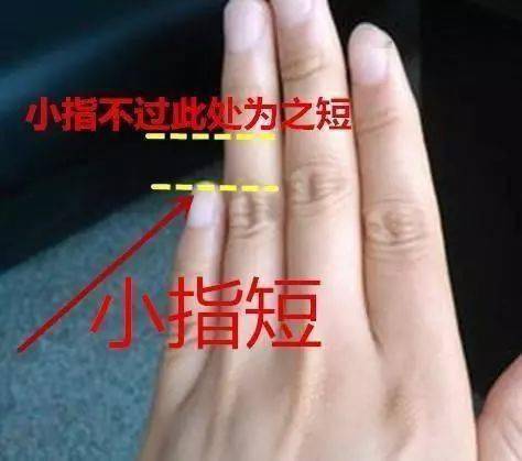 什么手相是长寿的命 手掌藏天机？这五种手相特征的人可能更长寿（科学解读版）