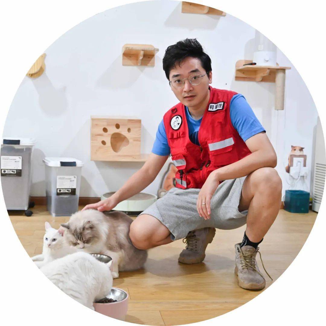 截止目前,许哲与他成立的"和猫住"平台已救助了1600多只猫,为上万只