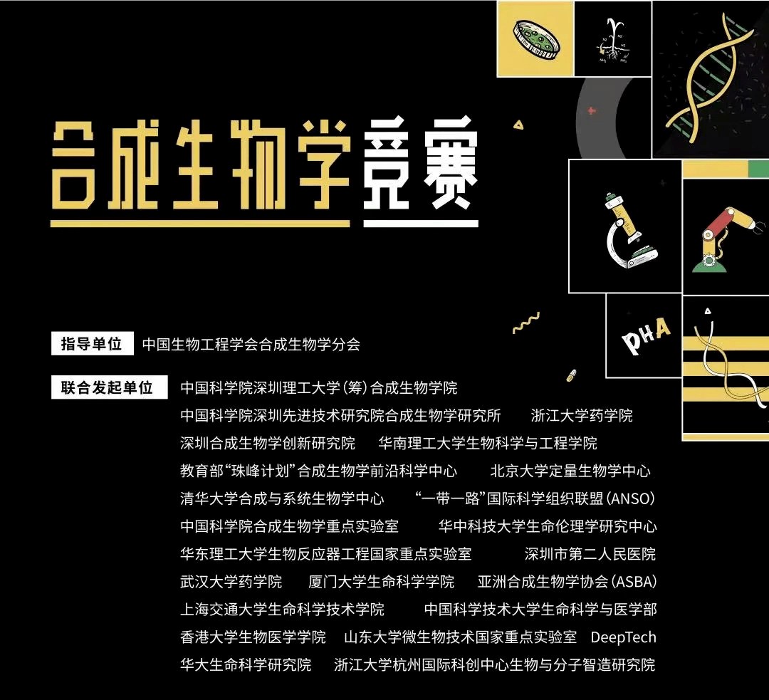 文章配图-4