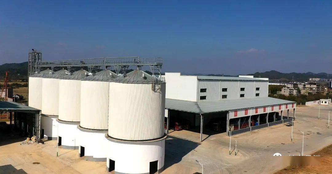 实探智能粮库10天入库600万斤稻谷