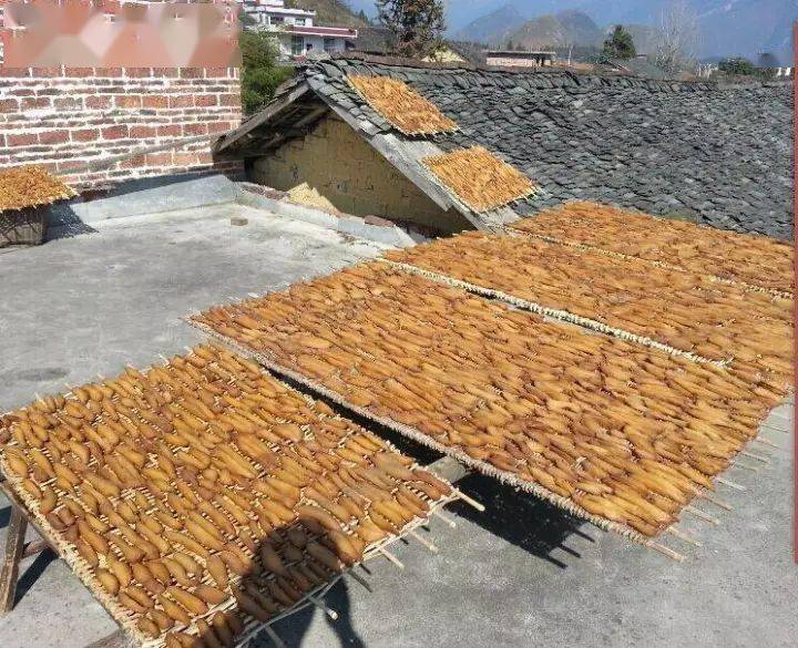 天气|邵阳农村晒红薯片的季节,童年时的回味!