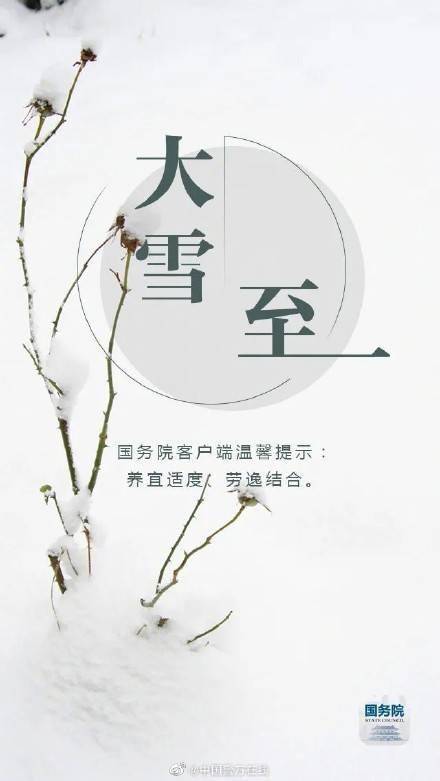 冬雪|今日大雪 愿你安康