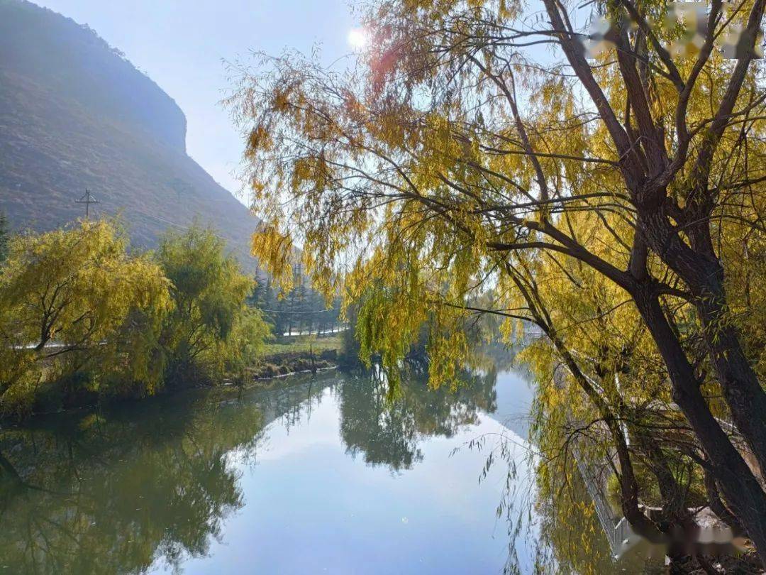 以礼河——初冬美景入画来_河畔_时光_薄雾