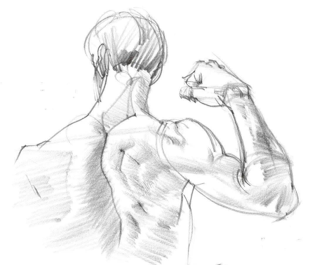 像下图,抬手的时候肱二头肌收缩变成鼓包,肱桡肌也收紧,肱三头肌反而