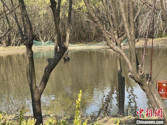 功能|上海：用绿道“网住”城市，让人民亲近自然