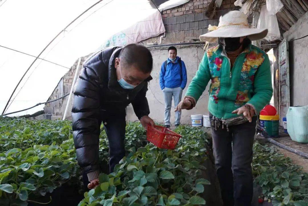 文化|这样冬游宁夏，很特别！