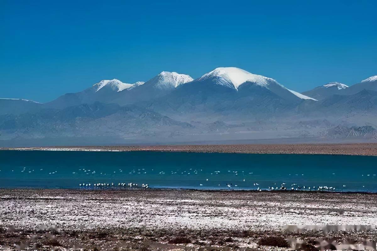 阿尔金山新疆最极致的景观诱惑最后一片被人遗忘的净土