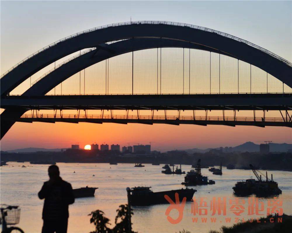梧州高旺大桥照片图片