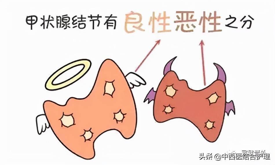 結節性甲狀腺腫,甲狀腺良性腫瘤(腺瘤等),甲狀腺囊腫,慢性淋巴細胞性