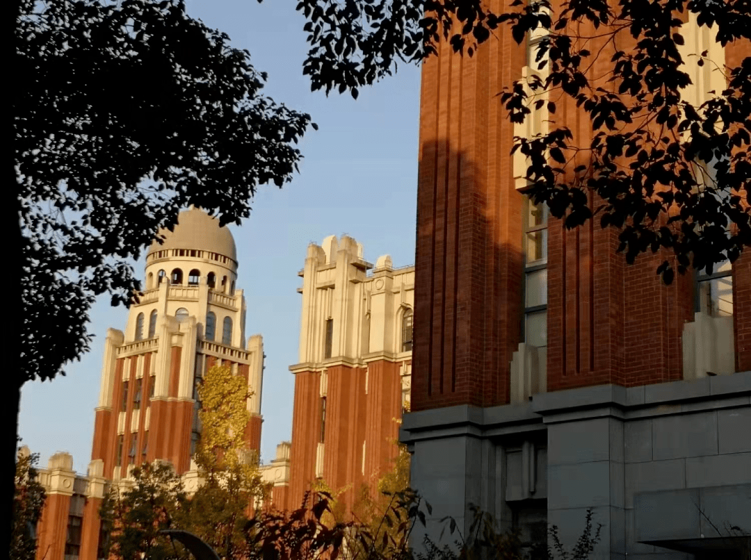 初冬的华政园,有你不能错过的风景!_校园_石庚炜_蒙恩