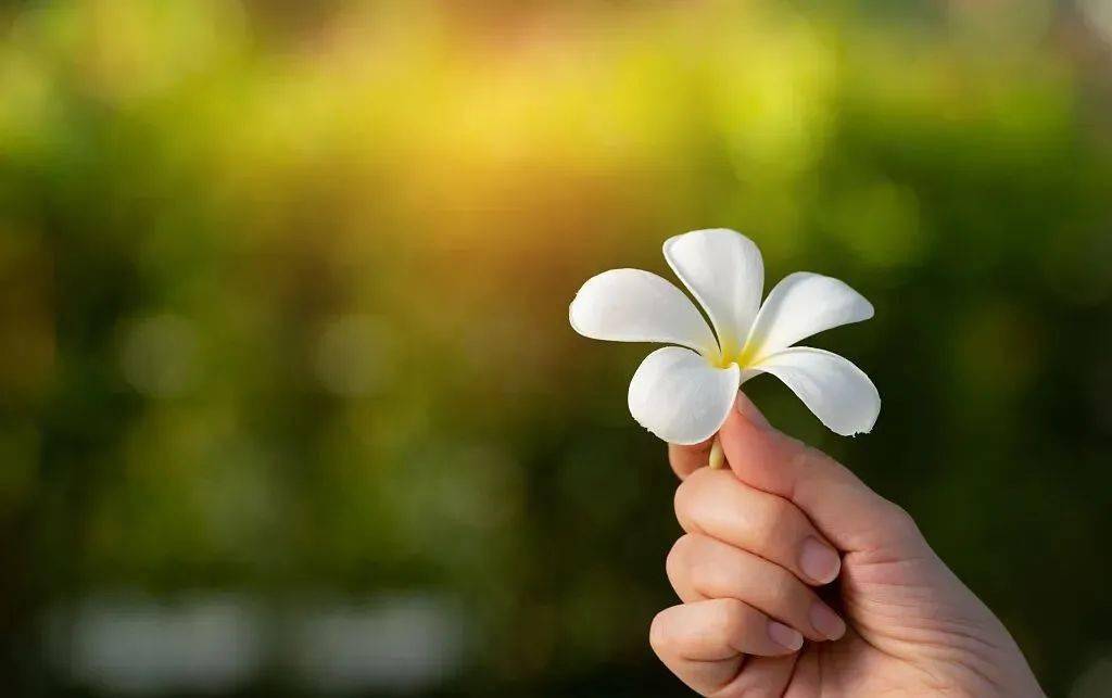 朋友_放平_心态