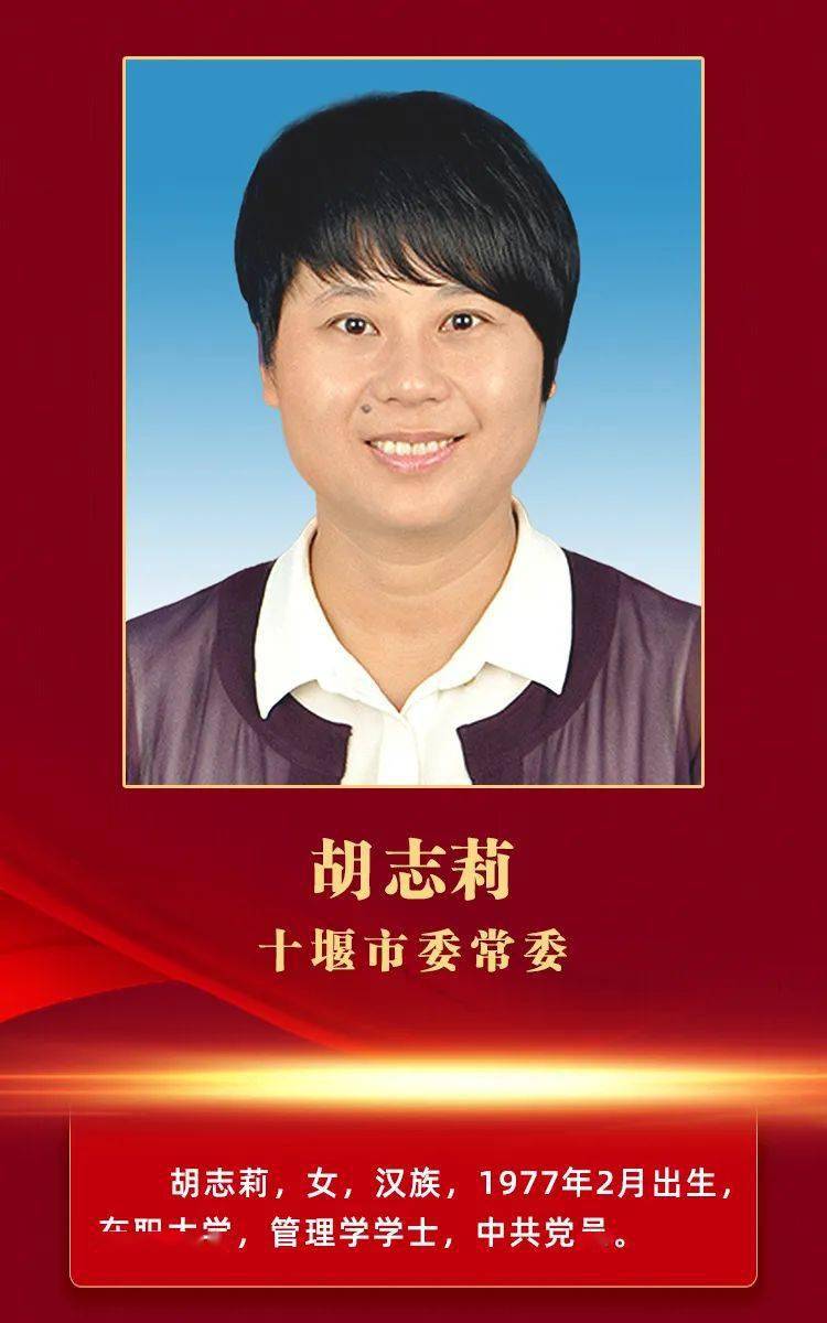 武汉市长胡亚波简介图片