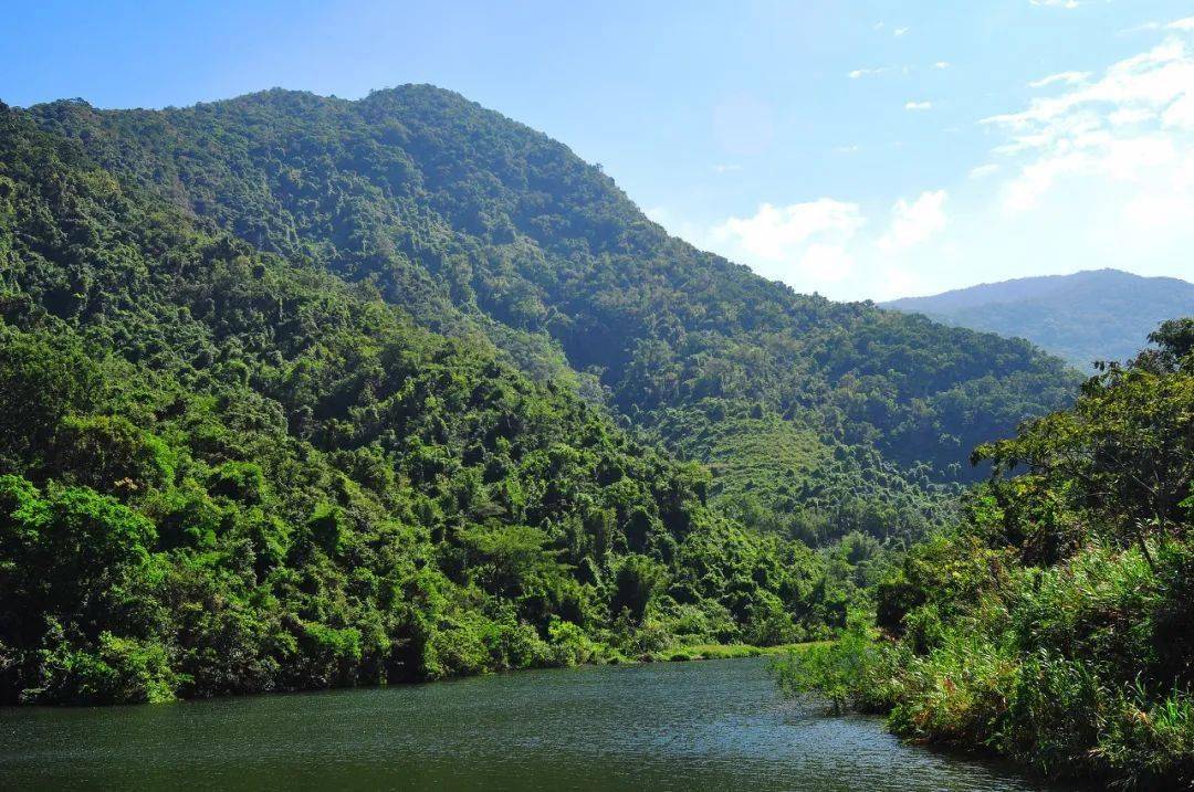 文锦|别再说没地方去！罗湖区游玩好去处汇总！爬山、逛街、赏花……总有一个适合你！