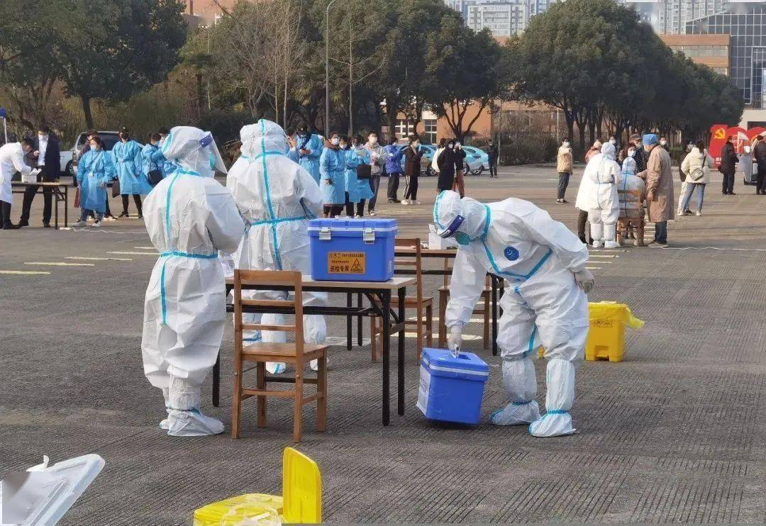 停课不停学,奔赴抗疫一线……宁波教育人同心战"疫" !_直播_疫情_镇海