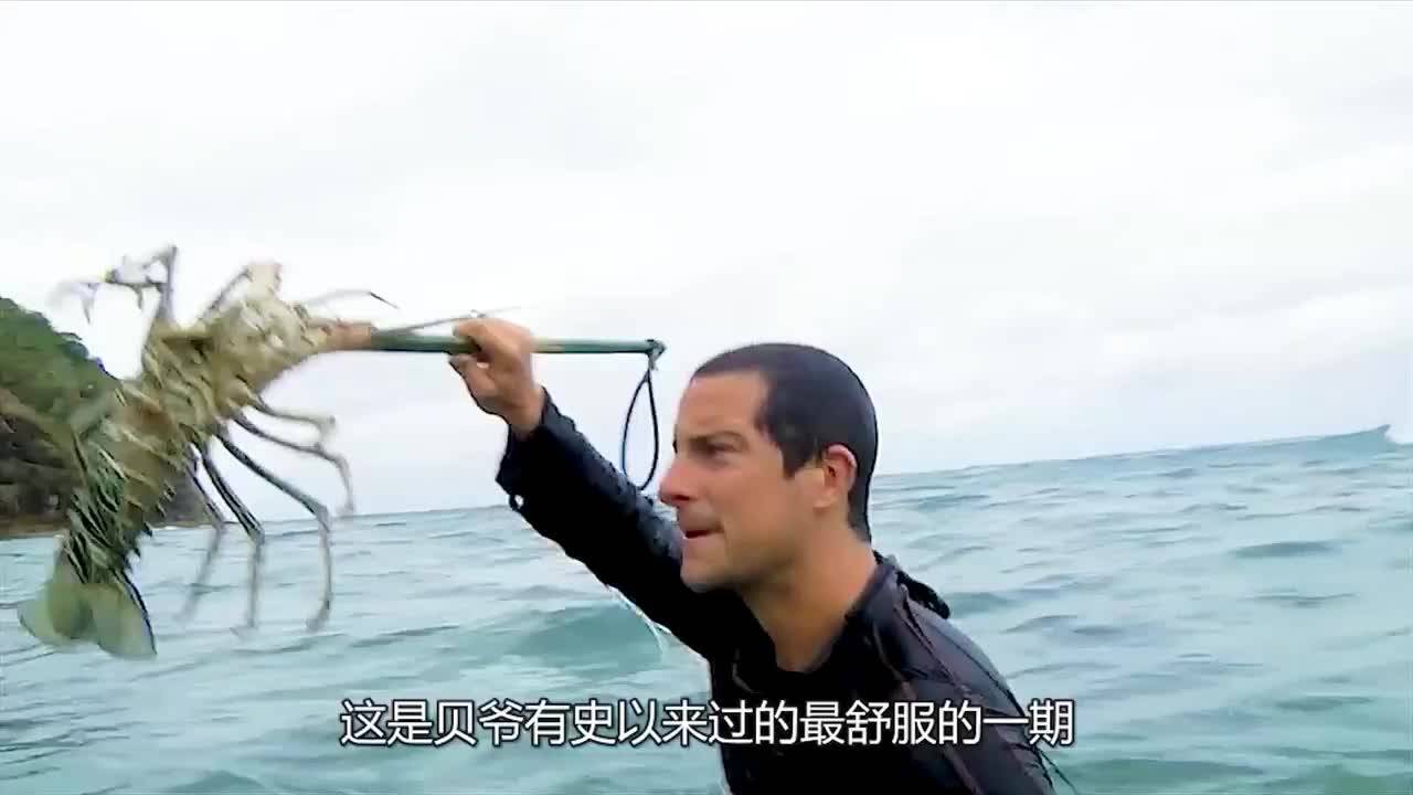 貝爺參加荒島求生海邊的鯊魚見到貝爺嚇得落荒而逃01