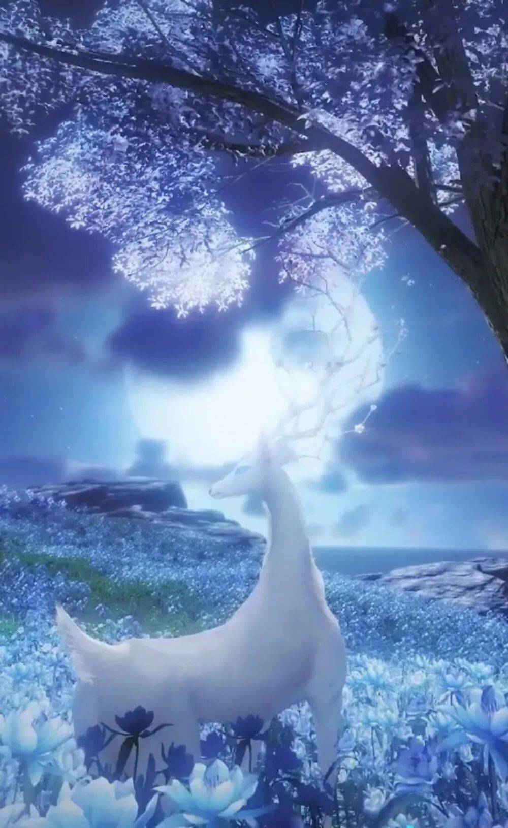 蓝色系列梦幻壁纸