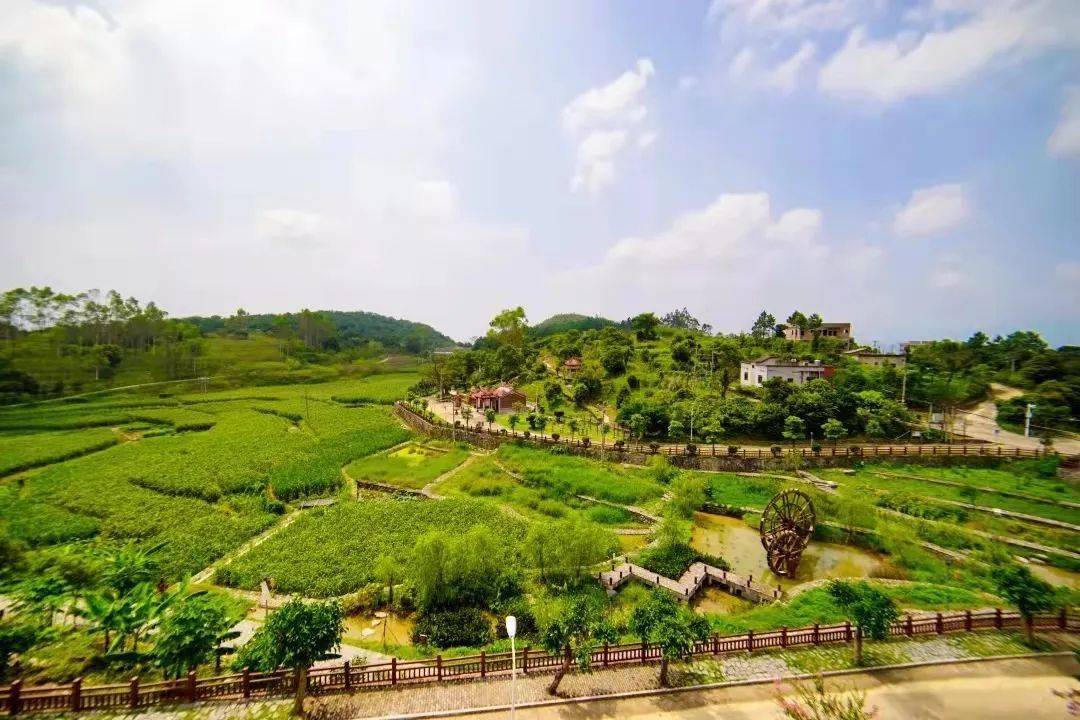 中国美丽休闲乡村厦门同安区顶村村