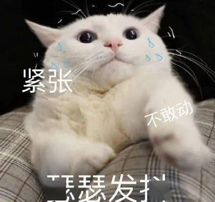 检测|延期！取消！山东一地47人被隔离！