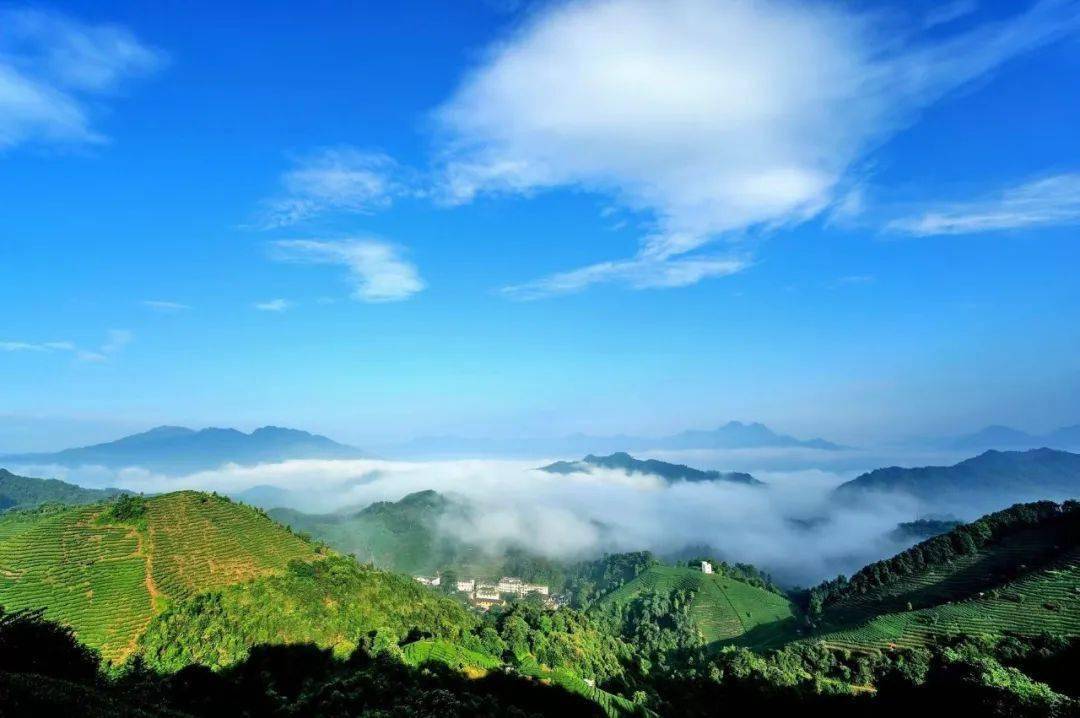 昭平光景 四季成诗