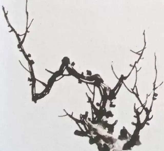 中国画教程写意梅花技法一学就会