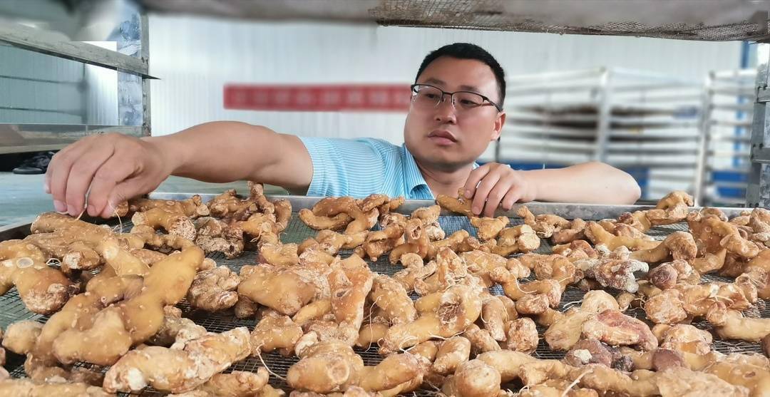 啥是黄精 d63ddcbbd97144d6bb0a91b8b617bbaa.jpeg